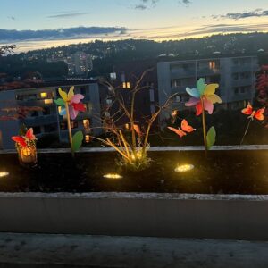 PathGlow Solar Lights (4-Pack)